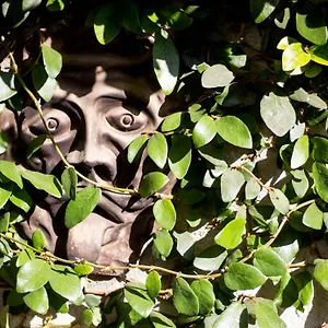 Sopra Al Bed & Breakfast Querceta