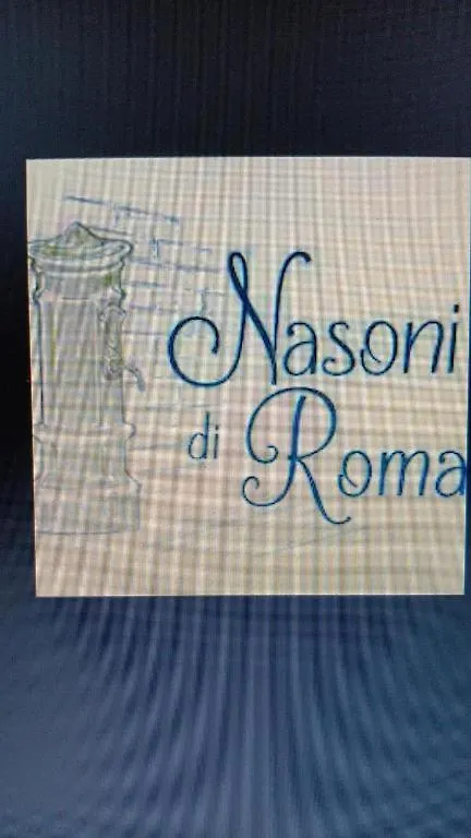 Aparthotel Nasoni Di Roma