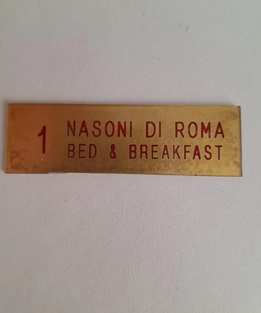 Aparthotel Nasoni Di Roma 0*, Rom Italien